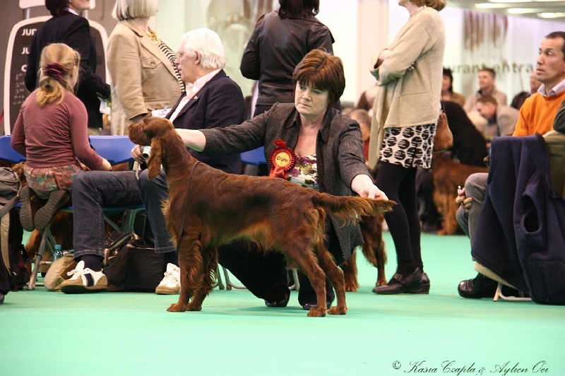 Crufts2011 893.jpg